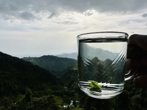 View of the mountains through a glass of mint tea.
