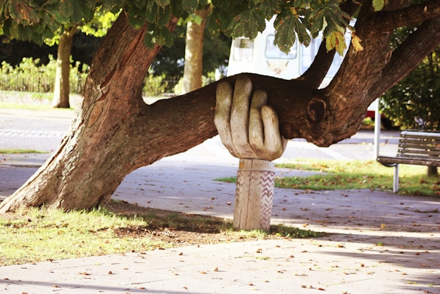 Thick brown tree trunk lifted up and supported by a hand sculpture. The power and confidence that comes from having a safety net as you grow.